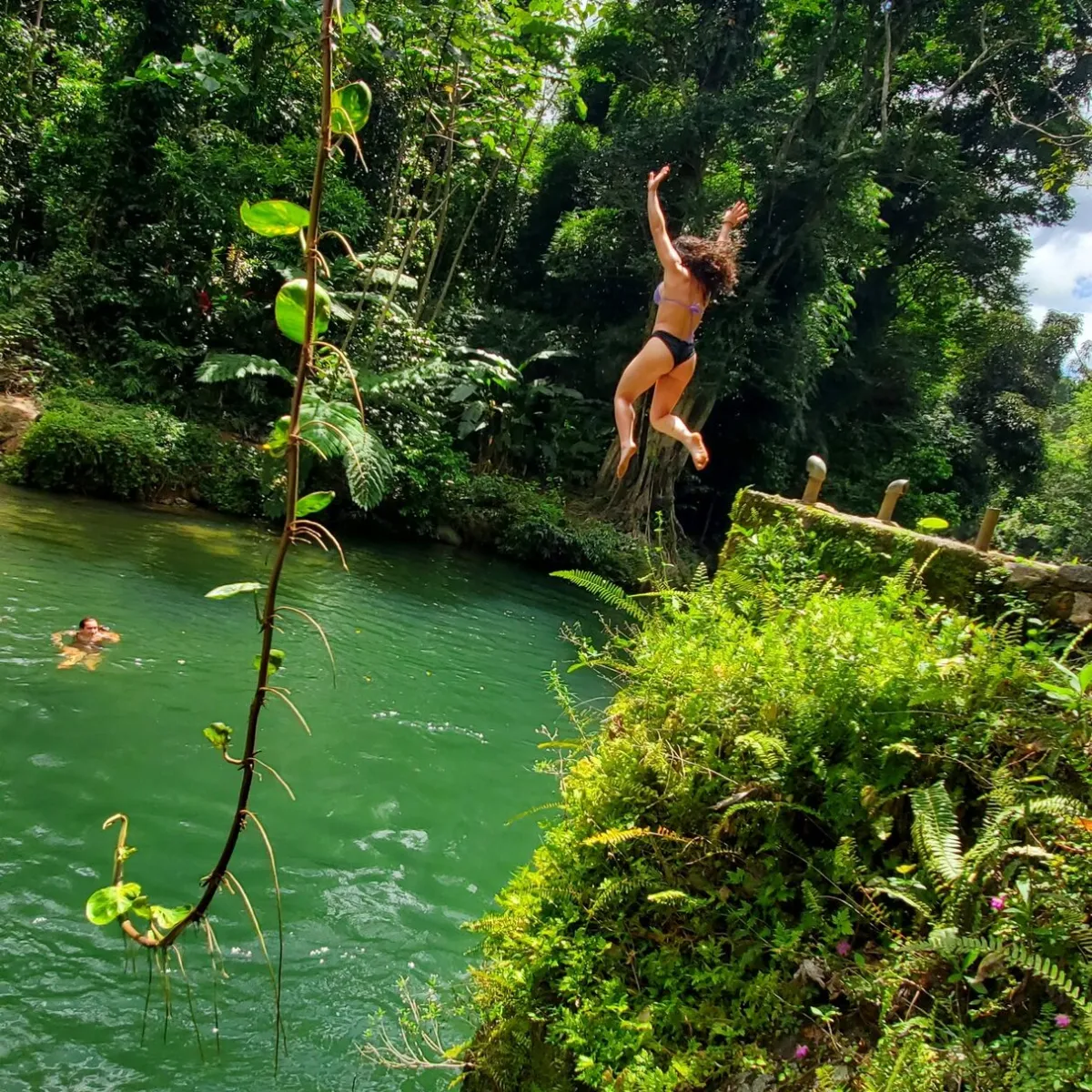 a group of people in a forest