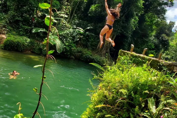 a group of people in a forest